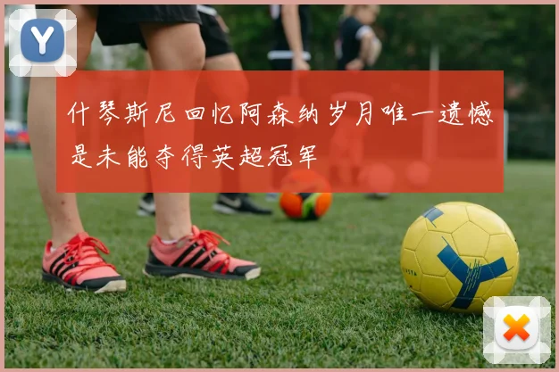 什琴斯尼回忆阿森纳岁月唯一遗憾是未能夺得英超冠军
